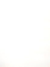 Glimmer Tulle - 108-inches Wide White
